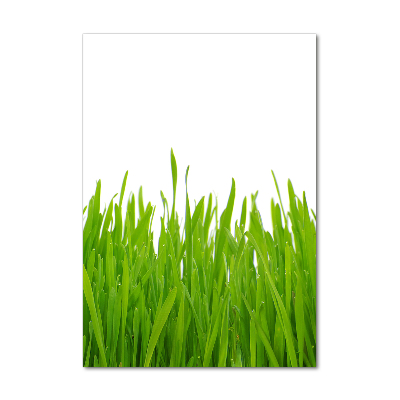 Staand plexiglas foto Groen gras