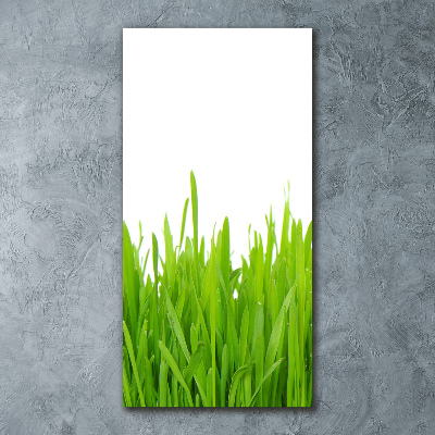 Staand plexiglas foto Groen gras