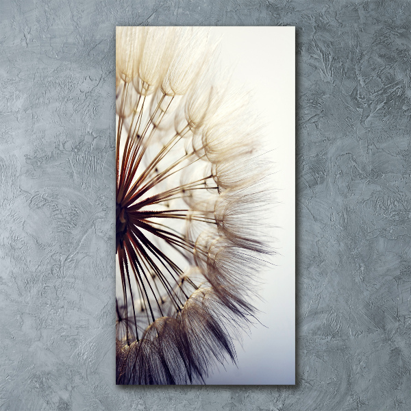 Staand foto in plexiglas Paardebloem