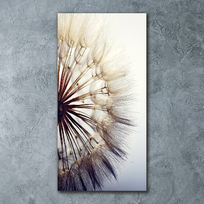 Staand foto in plexiglas Paardebloem