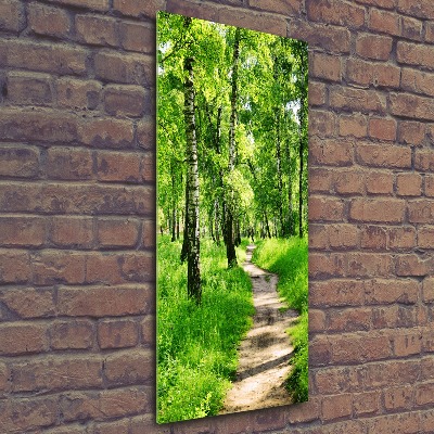 Staand foto in plexiglas Berkenbos