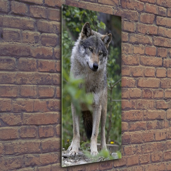 Staand foto plexiglas Wolf in het bos