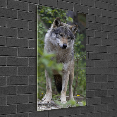 Staand foto plexiglas Wolf in het bos