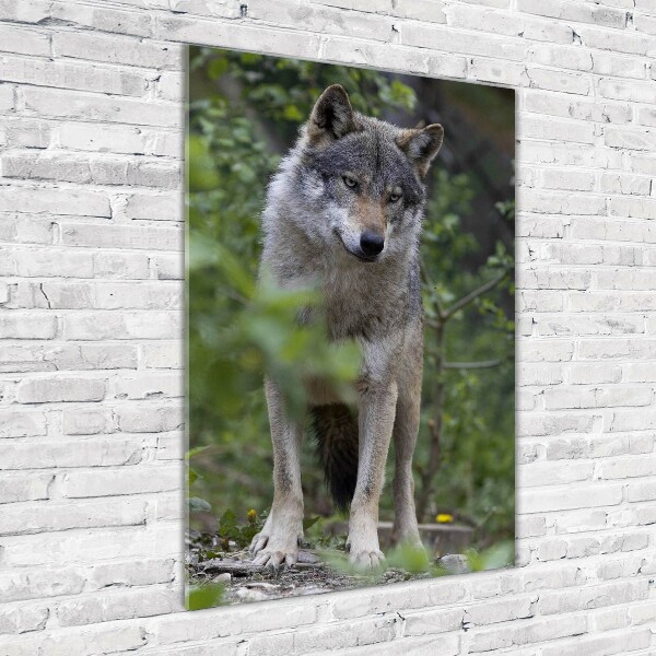Staand foto plexiglas Wolf in het bos
