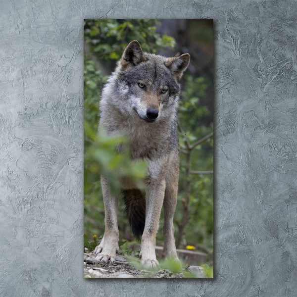 Staand foto plexiglas Wolf in het bos