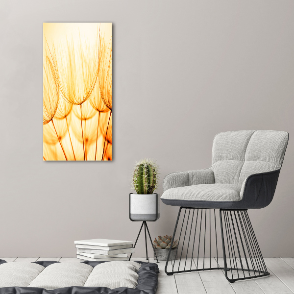 Obraz zdjęcie na ścianę akryl pionowy Nasiona dmuchawca