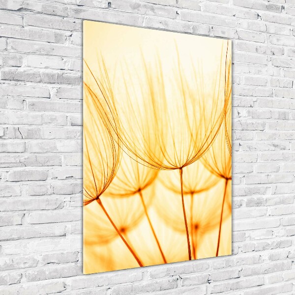 Obraz zdjęcie na ścianę akryl pionowy Nasiona dmuchawca