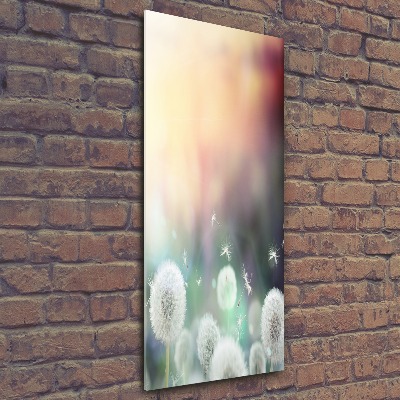 Staand plexiglas foto Paardenbloemen