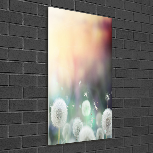 Staand plexiglas foto Paardenbloemen