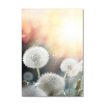 Staand plexiglas foto Paardenbloemen