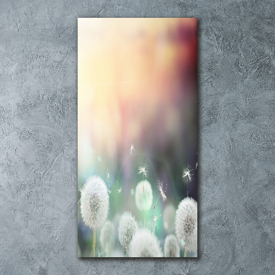 Staand plexiglas foto Paardenbloemen
