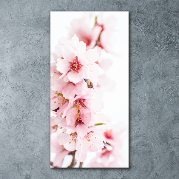 Staand foto in plexiglas Amandelbloesems