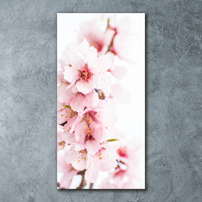 Obraz zdjęcie szkło akryl pionowy Kwiaty migdałowca