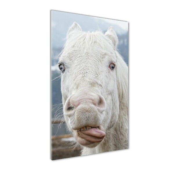 Staand foto in plexiglas Gek wit paard