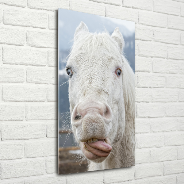 Staand foto in plexiglas Gek wit paard