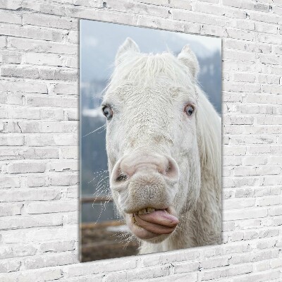 Staand foto in plexiglas Gek wit paard