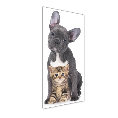 Staand foto op plexiglas Hond en kat