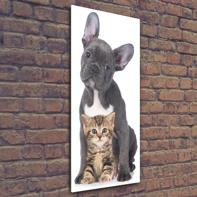 Staand foto op plexiglas Hond en kat