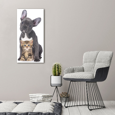 Staand foto op plexiglas Hond en kat
