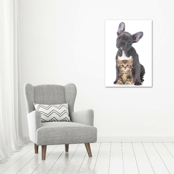 Staand foto op plexiglas Hond en kat