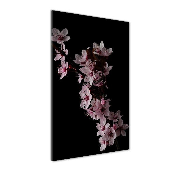 Staand plexiglas foto Kersenbloesems