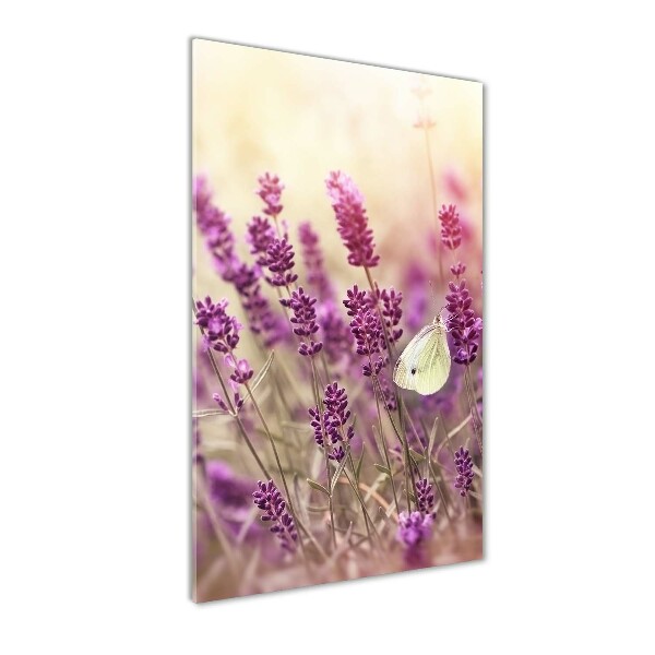 Staand foto plexiglas Lavendelbloemen