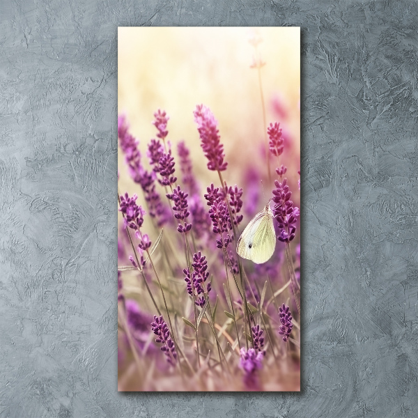 Staand foto plexiglas Lavendelbloemen