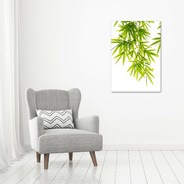 Staand foto op plexiglas Bamboe bladeren