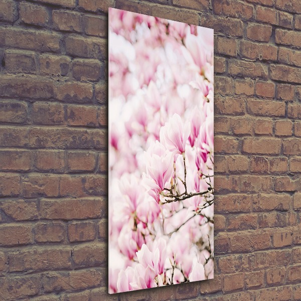 Staand plexiglas foto Magnolia bloemen