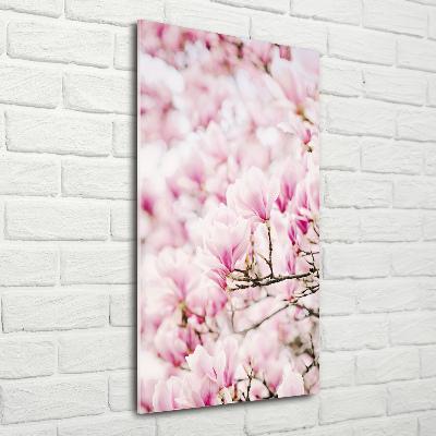 Staand plexiglas foto Magnolia bloemen