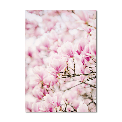 Staand plexiglas foto Magnolia bloemen