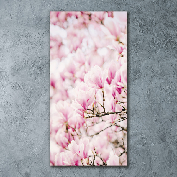 Staand plexiglas foto Magnolia bloemen