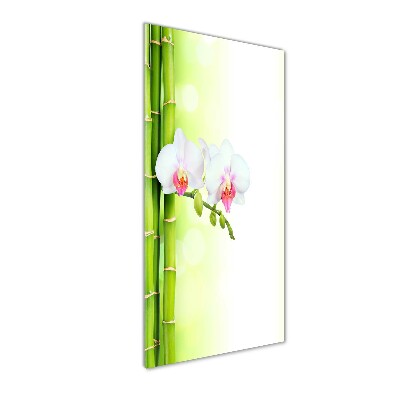 Obraz zdjęcie na ścianę akryl pionowy Orchidea i bambus