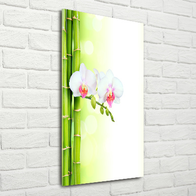 Staand foto op plexiglas Orchidee en bamboe