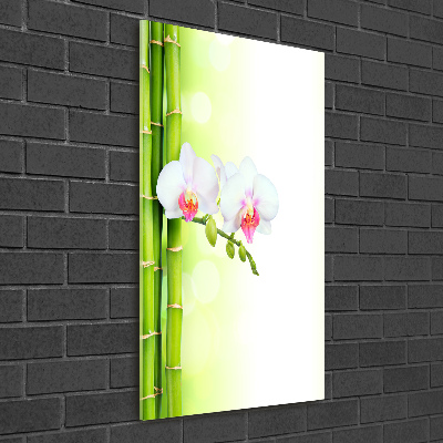 Staand foto op plexiglas Orchidee en bamboe