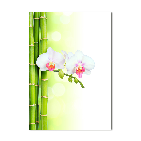 Staand foto op plexiglas Orchidee en bamboe
