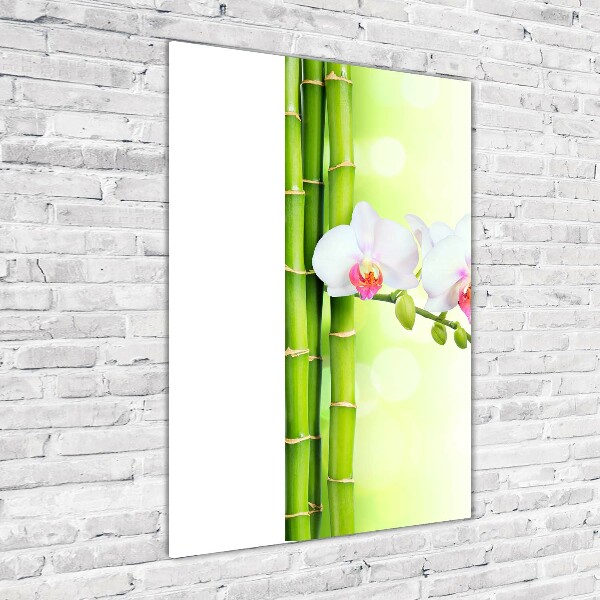 Staand foto op plexiglas Orchidee en bamboe