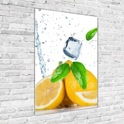 Staand foto plexiglas Citroen en ijs