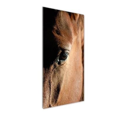 Staand foto in plexiglas Paard