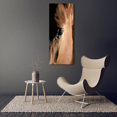 Staand foto in plexiglas Paard