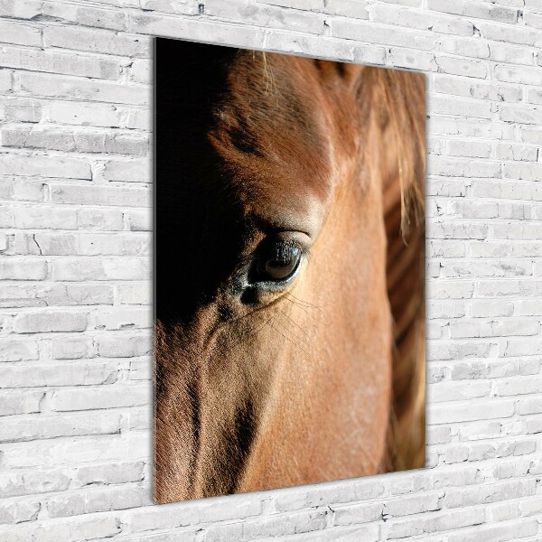 Staand foto in plexiglas Paard