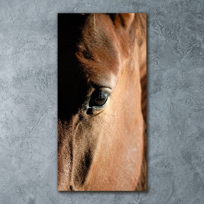 Staand foto in plexiglas Paard