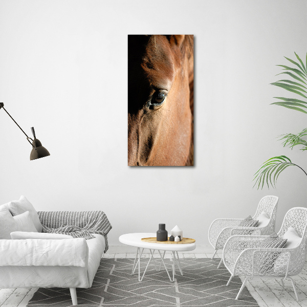 Staand foto in plexiglas Paard