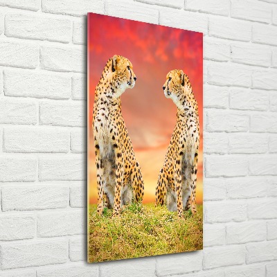 Staand foto op plexiglas Twee cheetahs