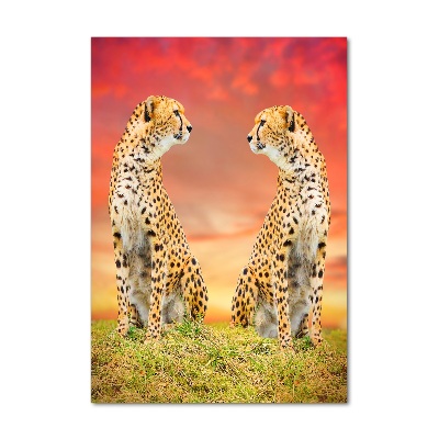 Staand foto op plexiglas Twee cheetahs