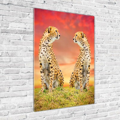 Staand foto op plexiglas Twee cheetahs