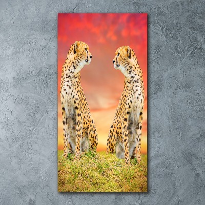 Staand foto op plexiglas Twee cheetahs