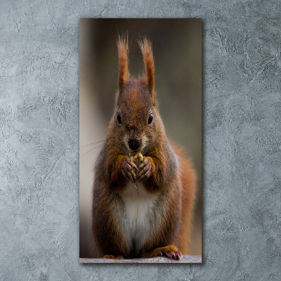 Staand plexiglas foto Eekhoorn