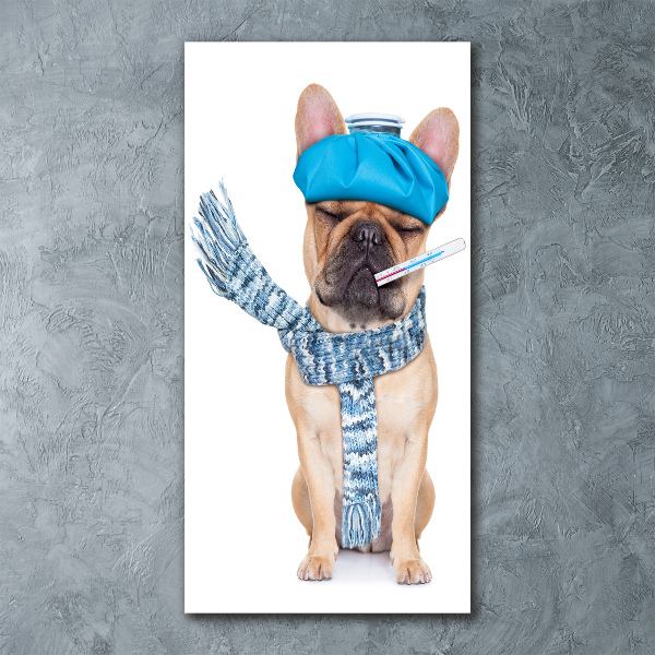 Staand plexiglas foto Zieke hond