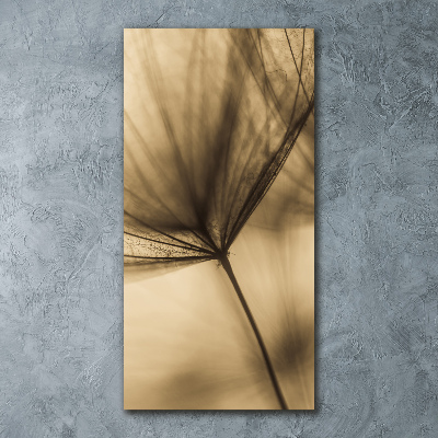 Staand foto in plexiglas Paardenbloemzaad